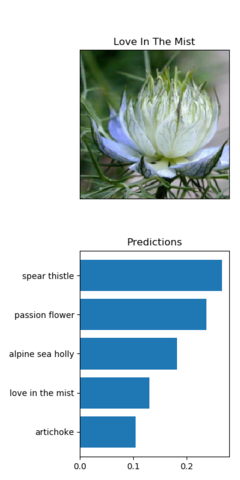 Flower with prediction